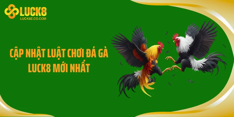 Cập nhật luật chơi đá gà LUCK8 mới nhất