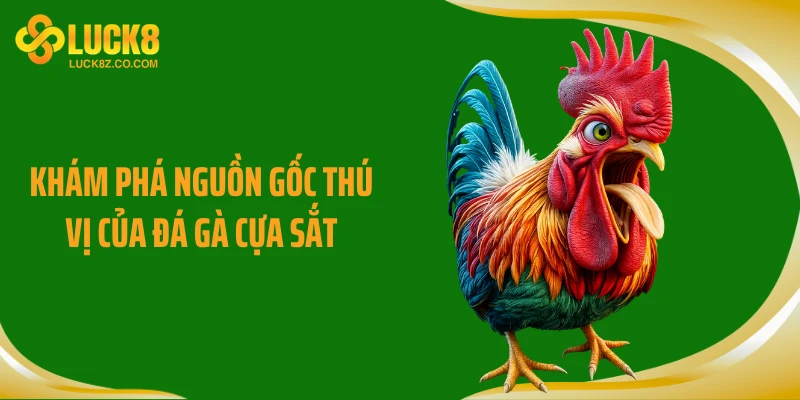 Khám phá nguồn gốc thú vị của đá gà cựa sắt