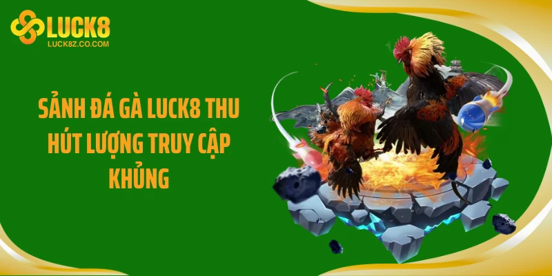 Sảnh đá gà LUCK8 thu hút lượng truy cập khủng