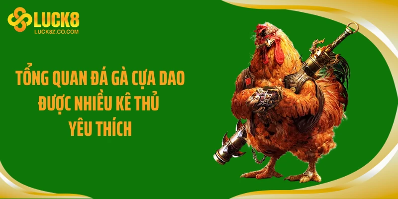 Tổng quan đá gà cựa dao được nhiều kê thủ yêu thích