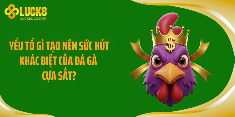 Yếu tố gì tạo nên sức hút khác biệt của đá gà cựa sắt?